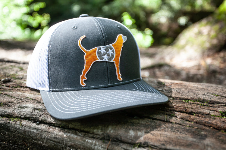 Tennessee Collection