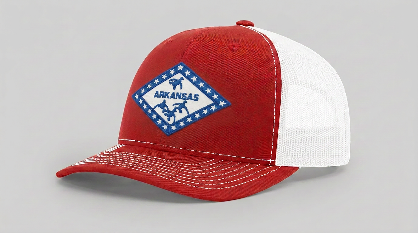 The Natural State - AR Hat - Dixie Fowl Company
