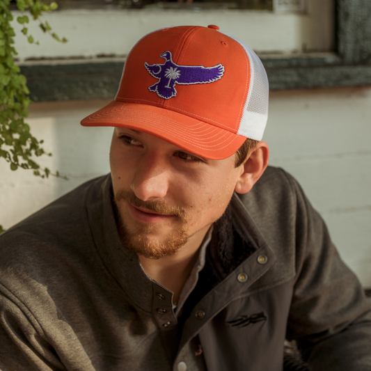 South Carolina Mallard Game Day - Purple - Adjustable Cap
