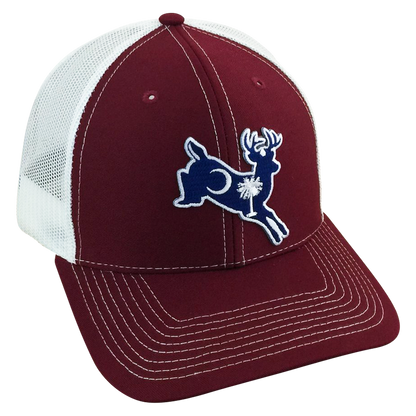 SC Whitetail - Adjustable Cap - Dixie Fowl Company - Hat