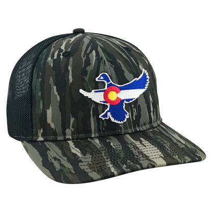 CO Mallard - Adjustable Cap - Dixie Fowl Company - Hat